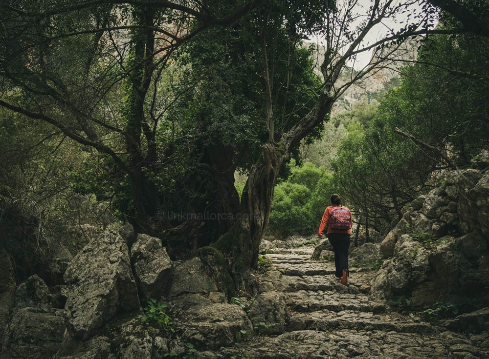 El Barranc de Biniaraix, Sóller, Serra de Tramuntana, Mallorca