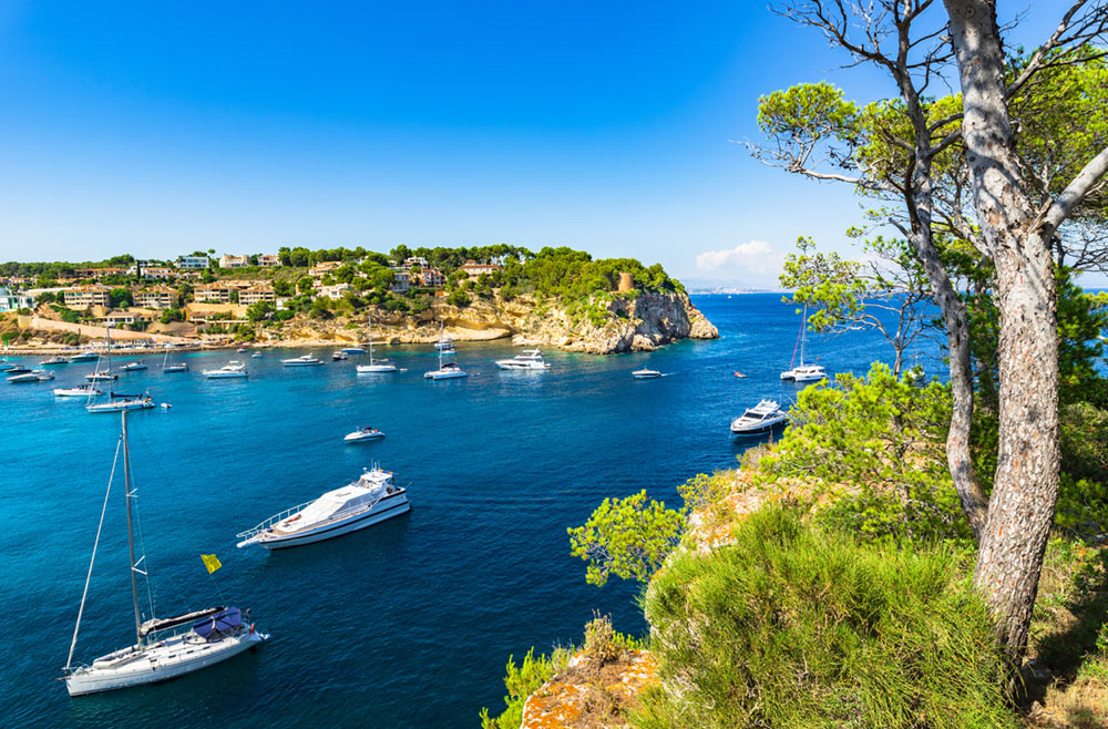 portals-vells-mallorca
