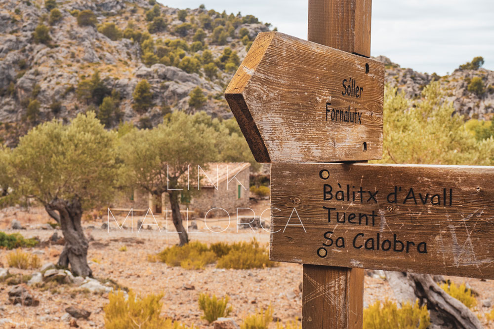ruta-senderismo-sa-costera-balitx