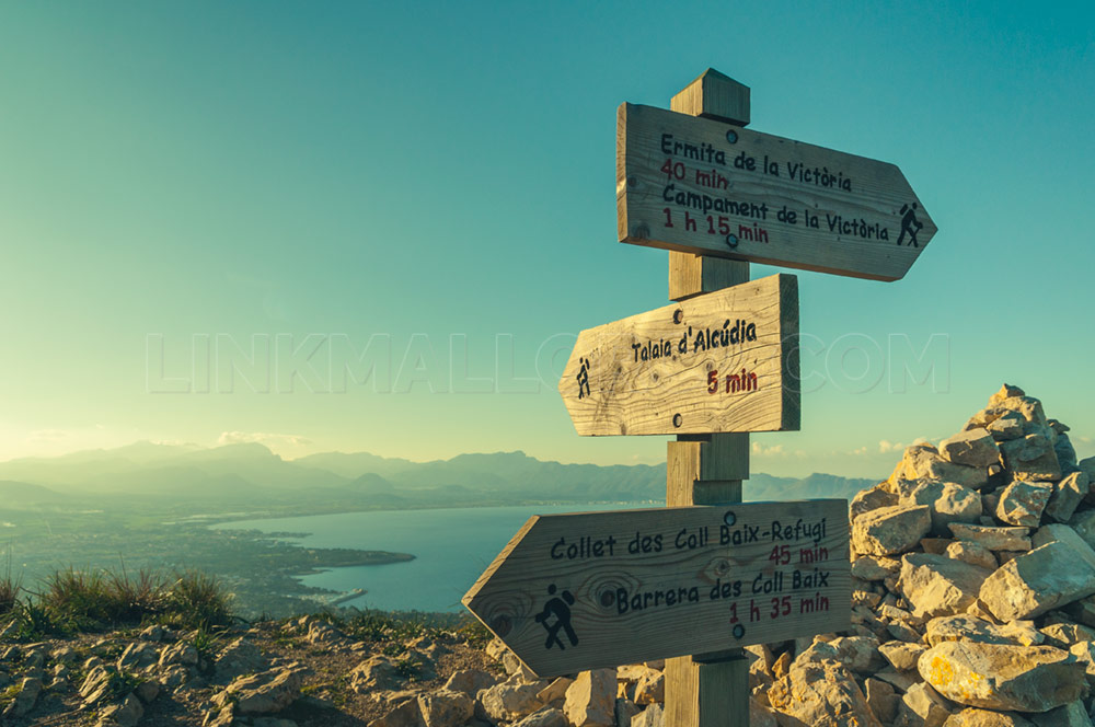 ruta-talaia-alcudia-mallorca_DSC0974