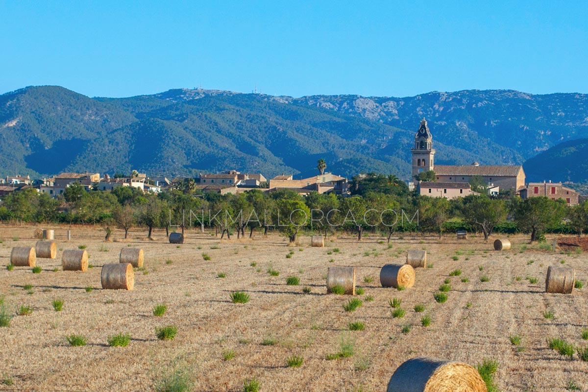 Santa Maria del Camí, Mallorca