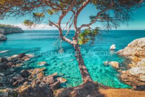 mejores-calas-norte-mallorca