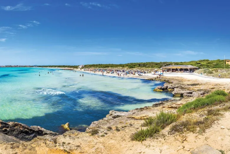excursion-playa-ses-covetes-mallorca