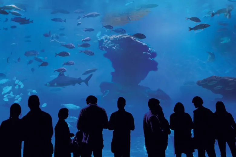 visita-grupo-palma-aquarium