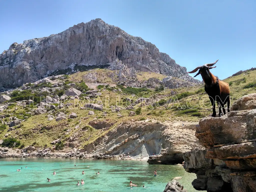 Cala Figuera de Formentor